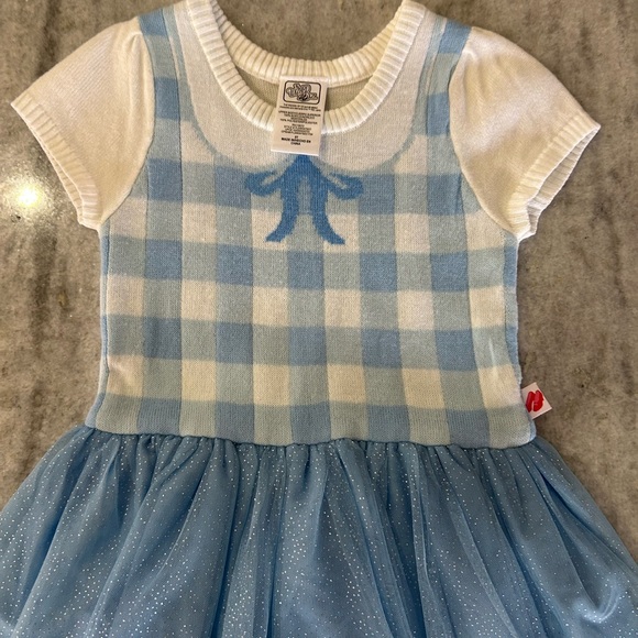 Wizard of Oz Dorthy Dress Size 5T - Picture 2 of 6